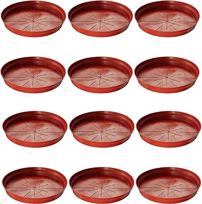 Plants Point Plastic Saucer Base Plate Planter Tray, Terracotta, 4 Inch, Set of 15 - Image 1