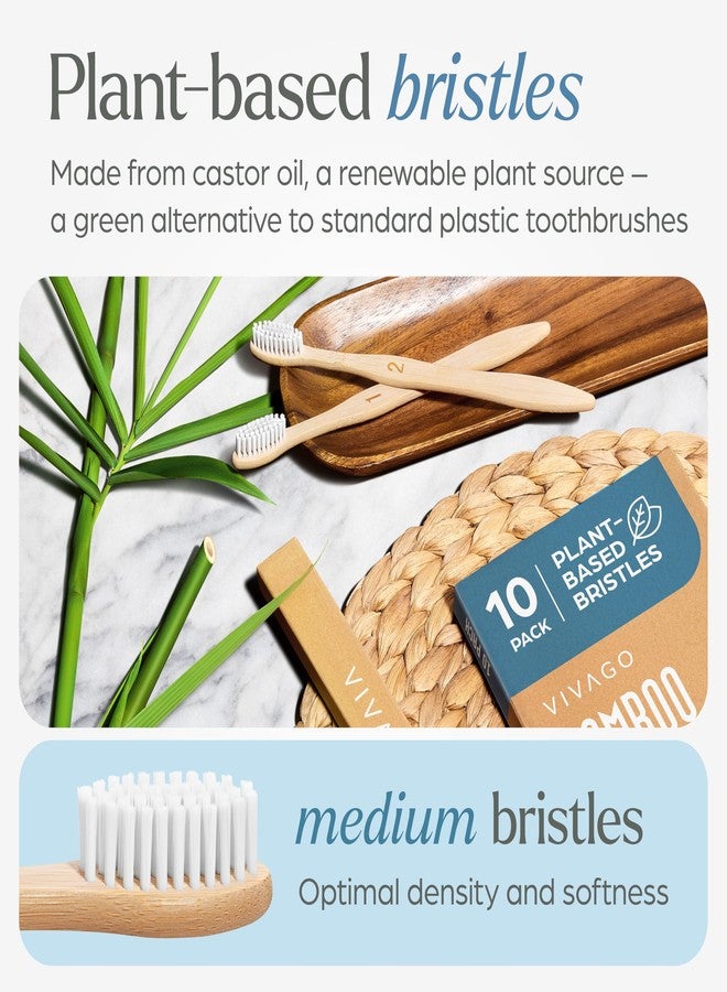 VIVAGO Bamboo Toothbrushes Medium Bristles 10 Pack - Plant-Based Medium Bristles Toothbrushes for Adults - Eco-Friendly, Natural Wooden Toothbrush - Image 2