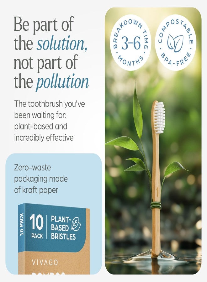 VIVAGO Bamboo Toothbrushes Medium Bristles 10 Pack - Plant-Based Medium Bristles Toothbrushes for Adults - Eco-Friendly, Natural Wooden Toothbrush - Image 3