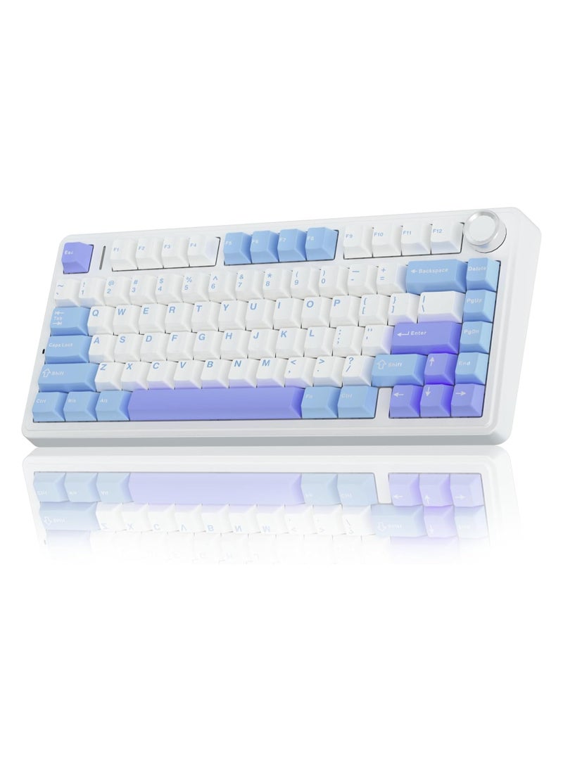 AULA F75 75% Wireless Mechanical Keyboard,Gasket Hot Swappable Custom Keyboard,Pre-lubed Linear Switches RGB Backlit Gaming Keyboard,2.4GHz/Type-C/BT5.0 Mechanical Keyboard(Star Vector Switch - White&Blue&Purple) - pzsku/ZA2C3C330E40B0B76C92EZ/45/_/1733042450/2b55fa33-0e6c-481f-a827-265f85f96c42