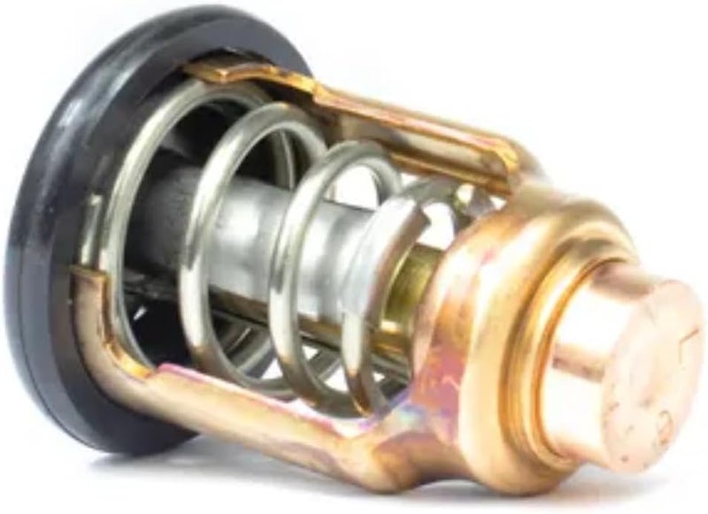 Sierra International 18-3637 Thermostat - Image 1