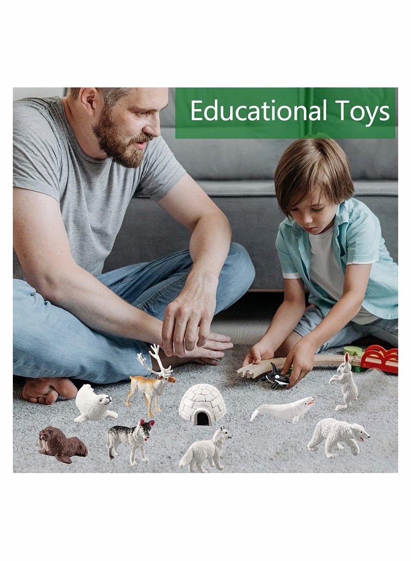 10 قطع تماثيل حيوانات القطب الشمالي، مجموعة تماثيل حيوانات القطب الشمالي، نماذج حيوانات واقعية، مجموعة تماثيل حيوانات المحيط الدائري القطبي للأطفال، ألعاب تعليمية - Image 3