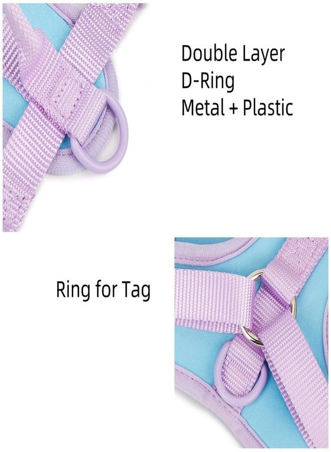 PAWXPRESS 4-in-1 Adjustable Dog Harness with Leash - No-Pull Pet Vest, Training Harness, Dog Collar & Leash Set - Lightweight & Comfortable (Blue-Purple, L) - Image 4