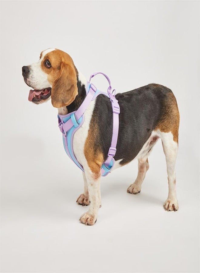 PAWXPRESS 4-in-1 Adjustable Dog Harness with Leash - No-Pull Pet Vest, Training Harness, Dog Collar & Leash Set - Lightweight & Comfortable (Blue-Purple, L) - Image 2