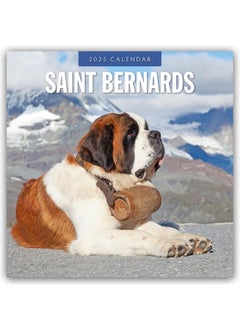 Saint Bernards 2025 Square Wall Calendar