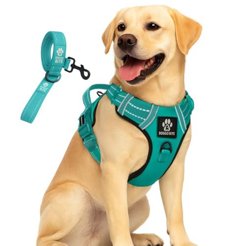 Doggo Bite Premium Reflective Dog Vest Harness| Soft Breathable| Padded Handle| Adjustable Straps & Luxury Buckle| No-Choke Design with Free Leash-26mm Chest (28-35inch) All Medium Breeds 14-22 Kg - Image 1