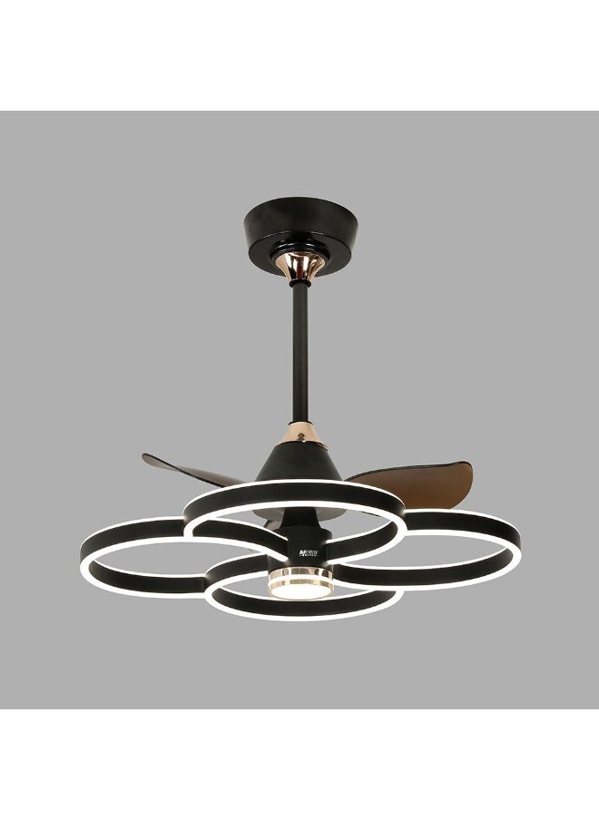 DANUBE HOME Danube Home Dora Mx Modern Ceiling Fan With Remote Control For Living Room, Bedroom,Hall| 3-In-1 Changeable Lights With Inbuilt LED(Included)| L55xW66xH55cm | Metallic Frame, Black (1 Year Warranty) 