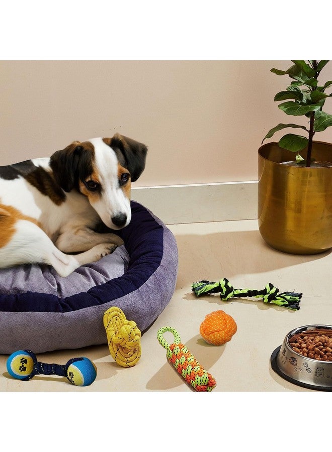 PET for Puppies & Small Dogs Toys Ringing Ball Toy | Bone Chew Toy, Rubber Toy, Training Aid for Dog - Image 5