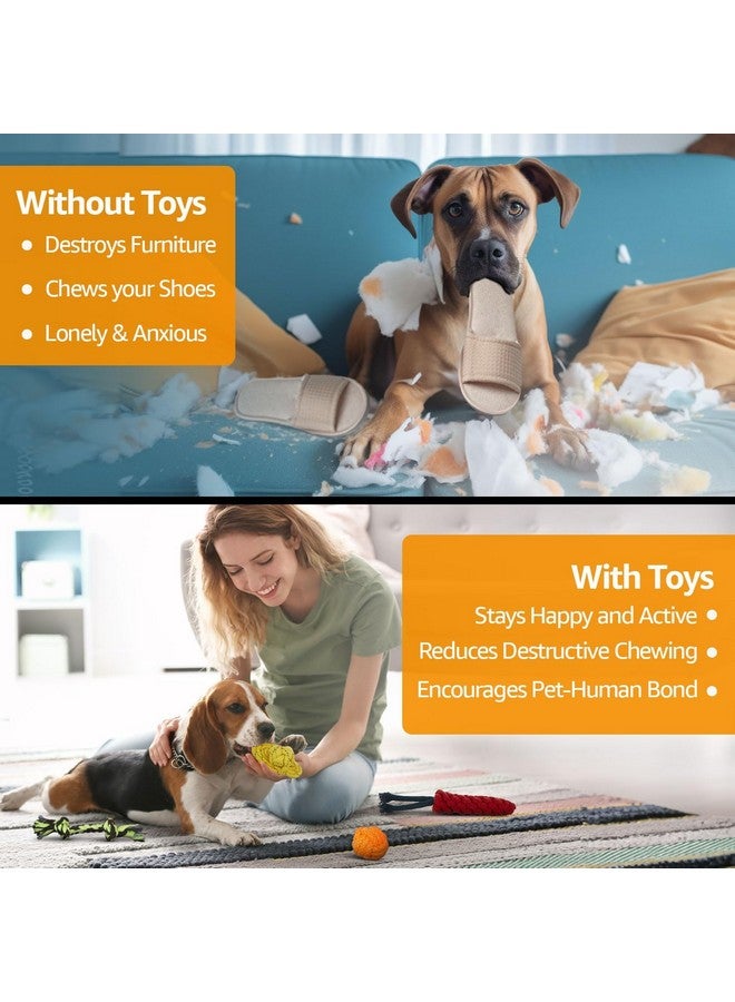 PET for Puppies & Small Dogs Toys Ringing Ball Toy | Bone Chew Toy, Rubber Toy, Training Aid for Dog - Image 2