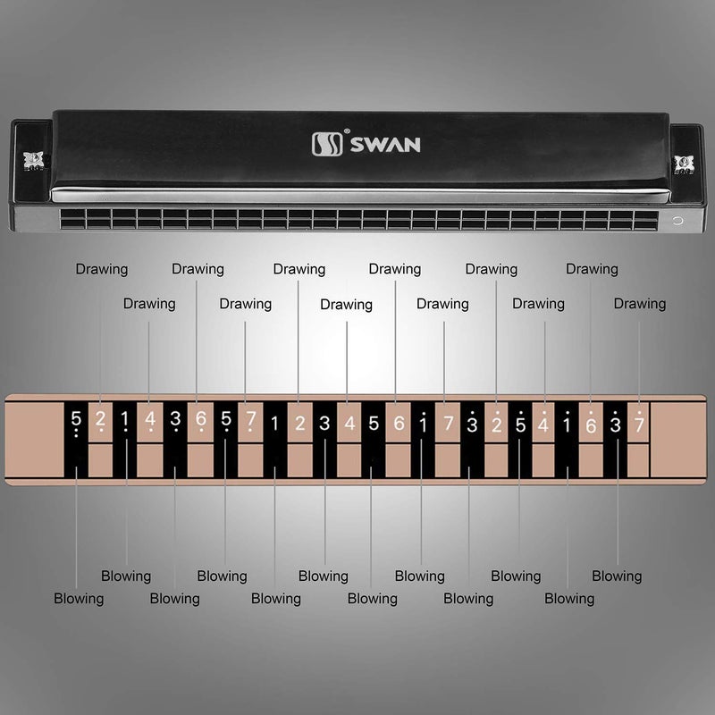 Swan هارمونيكا احترافية هارپ أرمونيكا مفتاح دو 24 ثقب بوليفوني دياتونيك أورغن فم مع حقيبة لموسيقى البلوز والفolk والجاز والبوب للطلاب والمعلمين والمبتدئين كهدية - Image 5