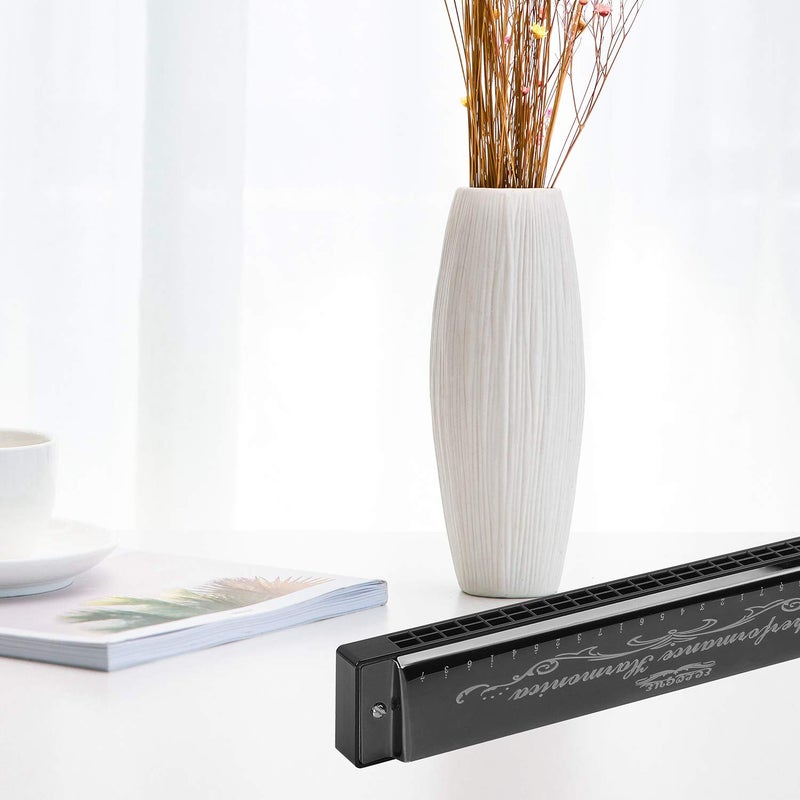 Swan هارمونيكا احترافية هارپ أرمونيكا مفتاح دو 24 ثقب بوليفوني دياتونيك أورغن فم مع حقيبة لموسيقى البلوز والفolk والجاز والبوب للطلاب والمعلمين والمبتدئين كهدية - Image 3