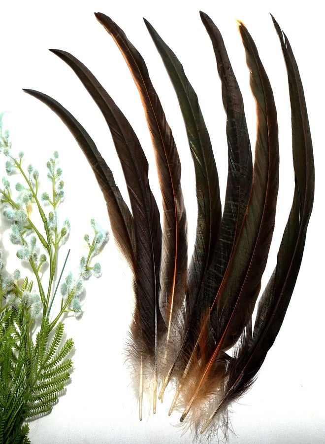 THARAHT 50PCS Rooster Coque Tail Feathers Bulk Natural 12-14Inch 30-35cm for Crafting Wedding Gras Masquerade Party Performances DIY Decoration Rooster Tail Feather,Natural - Image 2