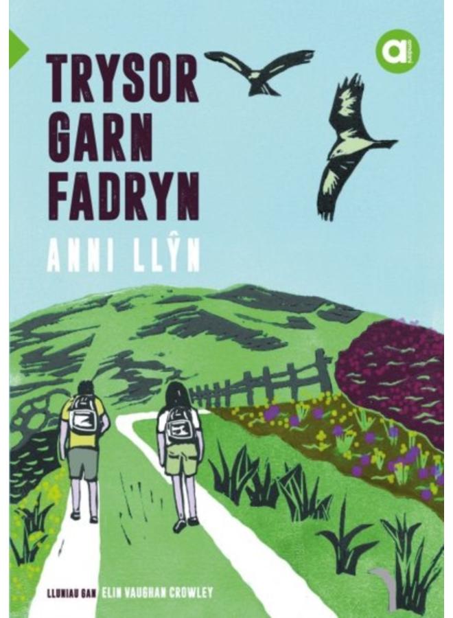 Cyfres Amdani: Trysor Garn Fadryn