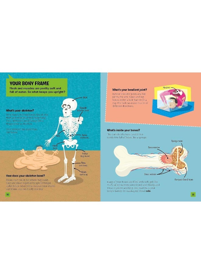 The Curious Kid's Guide To The Human Body: HOW DO YOUR MIGHTY MUSCLES MOVE?: STEM - Image 3