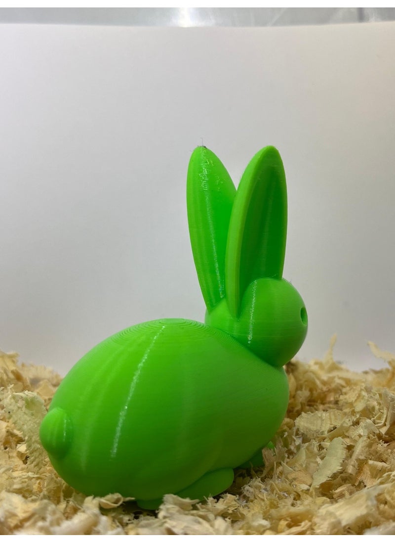 Epm3d Rabbit(Made from Organic Plastic)  - Image 2
