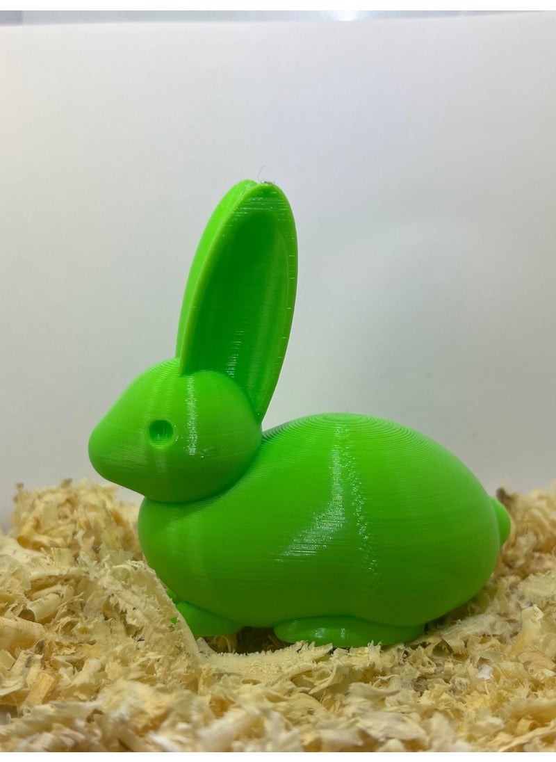 Epm3d Rabbit(Made from Organic Plastic)  - Image 3
