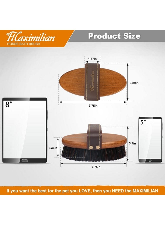 MAXIMILIAN World Class Handmade Equine Stiff Body Horse Brush. Professional Equine Grooming Tools. Effortlessly Removes Mud, Sweat and Dirt from Your Horses Hair. - Image 2