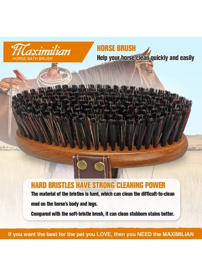 MAXIMILIAN World Class Handmade Equine Stiff Body Horse Brush. Professional Equine Grooming Tools. Effortlessly Removes Mud, Sweat and Dirt from Your Horses Hair. - Image 5