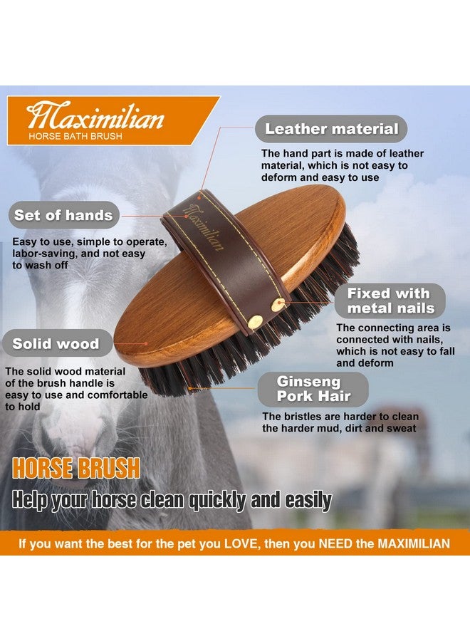 MAXIMILIAN World Class Handmade Equine Stiff Body Horse Brush. Professional Equine Grooming Tools. Effortlessly Removes Mud, Sweat and Dirt from Your Horses Hair. - Image 3