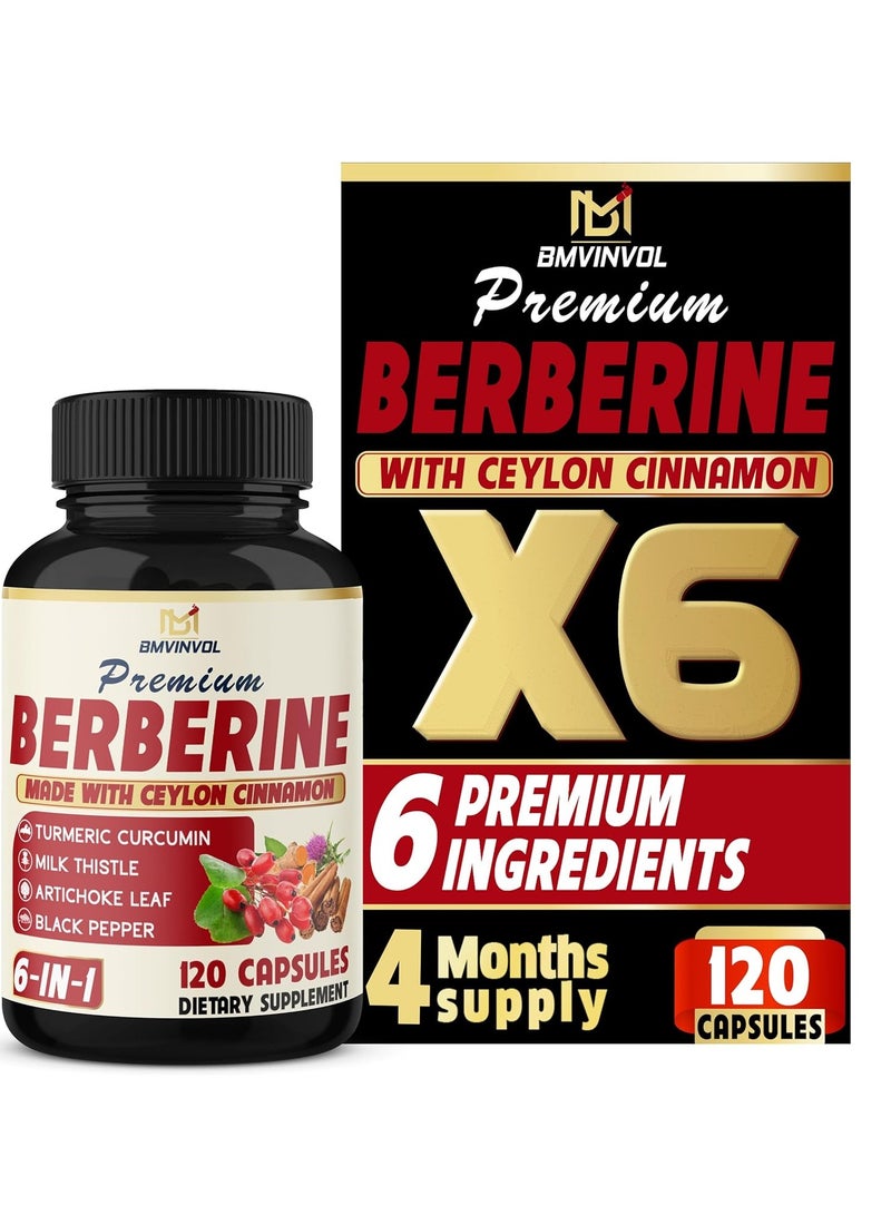 BMVINVOL Berberine Supplement with Ceylon Cinnamon,120 Capsules for 4 Month Supply - Image 1