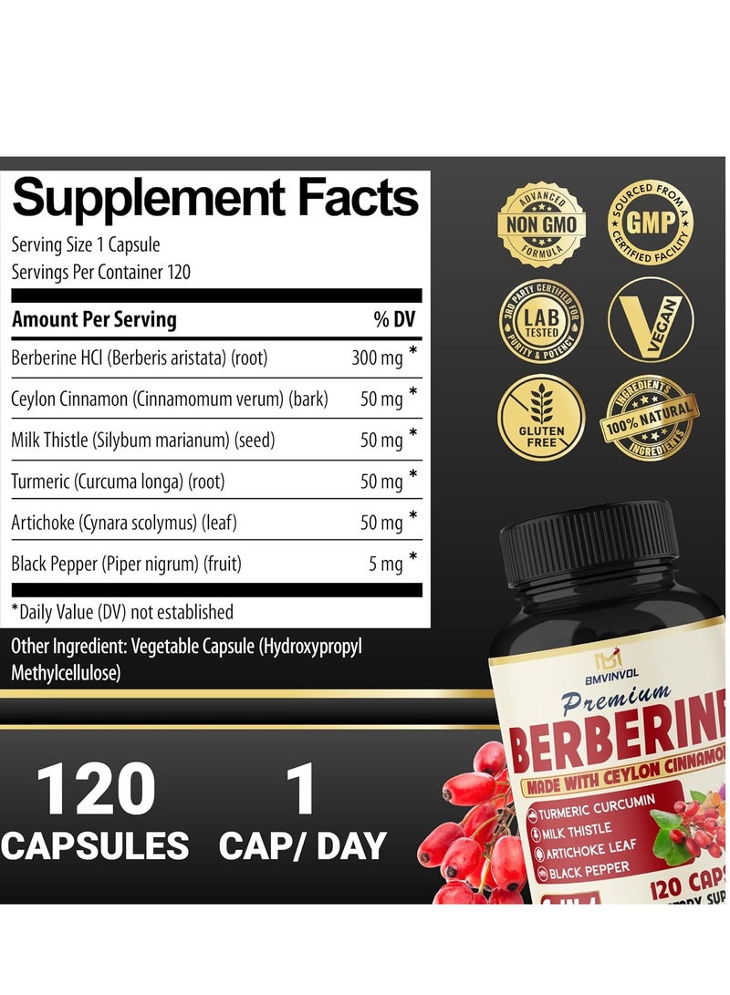 BMVINVOL Berberine Supplement with Ceylon Cinnamon,120 Capsules for 4 Month Supply - Image 2