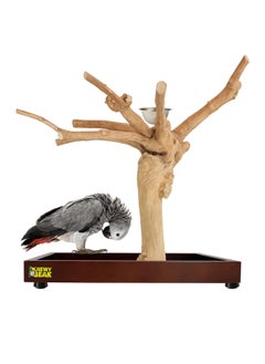 CHEWY BEAK Bird Stand Table Top Natural wooden Parrot Play Stand Indonesian Java wood Tree Perches with Stainless steel feeder medium size  - Image 1