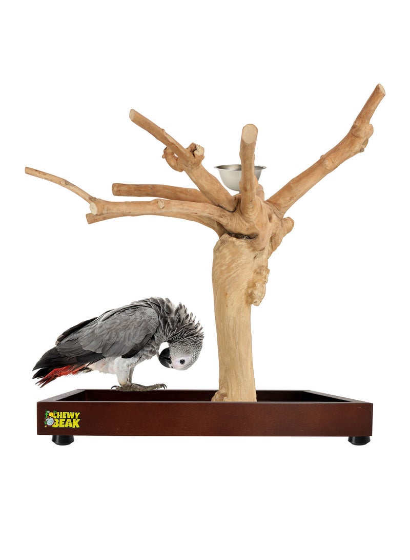 CHEWY BEAK Bird Stand Table Top Natural wooden Parrot Play Stand Indonesian Java wood Tree Perches with Stainless steel feeder medium size - Image 1