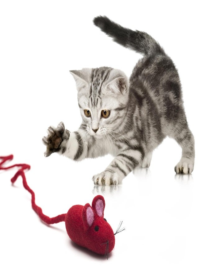 Glaciart One Felt Mouse Cat Toy - Soft Fuzzy Enrichment 100% Natural Wool - Interactive Catnip Play Cat Toy Set - Safe for Pets, Non-AZO Colored Dyes - 100” Long - Image 3