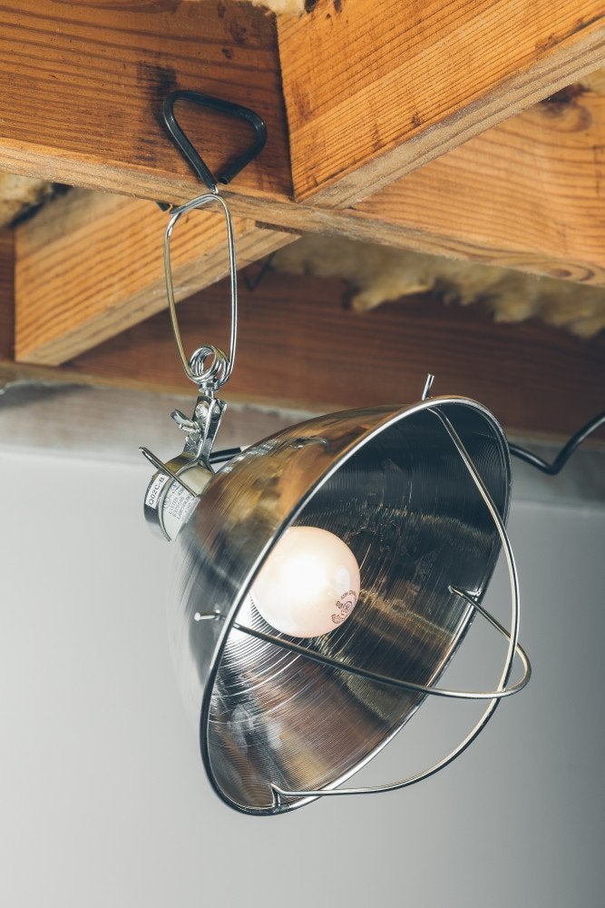 Woods Clamp Lamp with 10 Inch Reflector and Bulb Guard (300 Watt Bulb, 6 Foot Cord) - Image 5