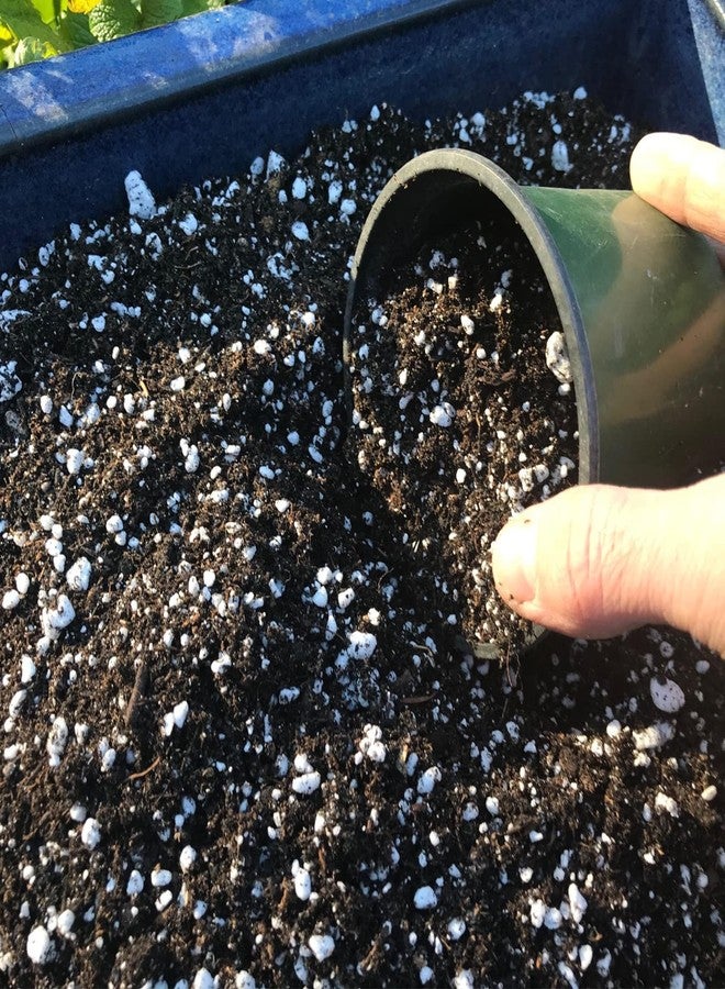 Doter Organic Perlite for All Plants (1 Quart) - Image 2