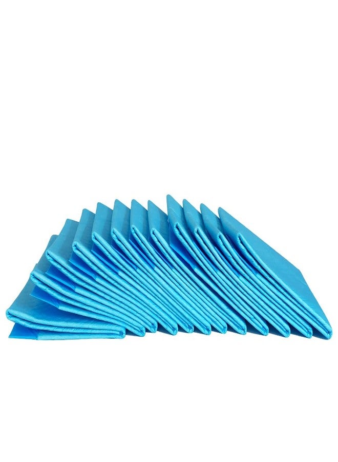 Tensifree Premium Underpads, Large (9x6cm) I 1 hrs Absorption Protection I Waterproof I Protects Surfaces from Incontinence I Super Soft Polymer (9 cm x 6 cm, 2) - Image 2