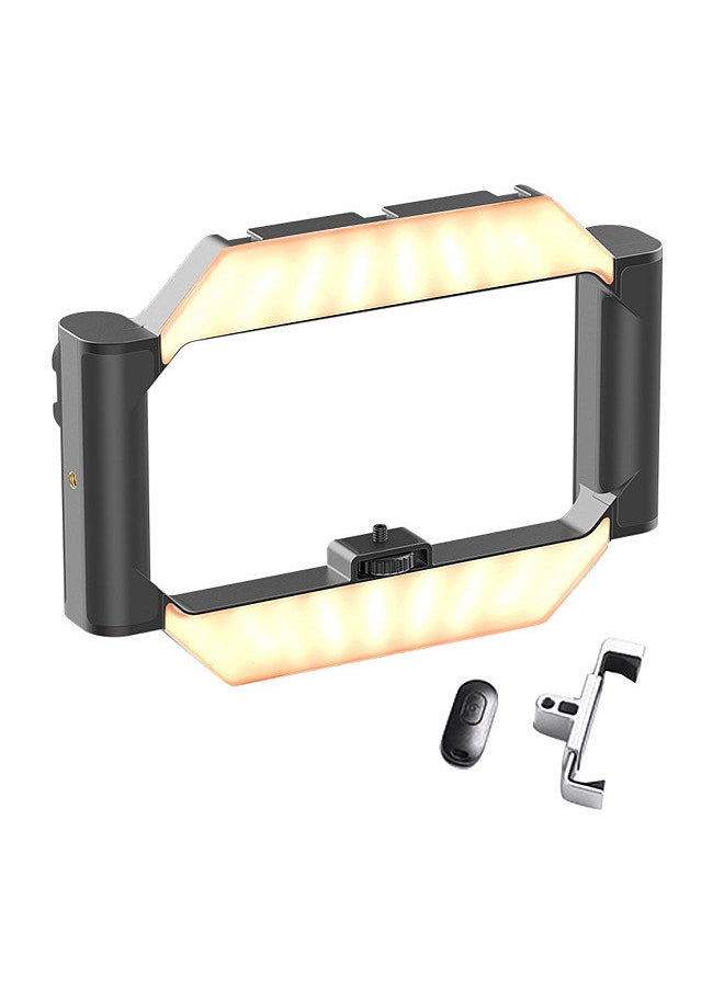 Ulanzi - Ulanzi U-Rig Light Handheld Camera Fill Light LED Video Light with Dual Handles - Image 1