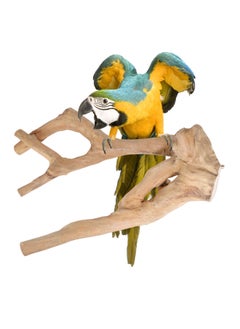 Parrot tree branch perch made of solid java wood for macaw parrots and big birds