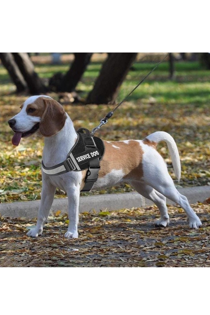 Premium Reflective Service Dog Harness – Adjustable No-Pull Vest with Handle – Breathable & Comfortable – Multiple Sizes & Colors - Image 5
