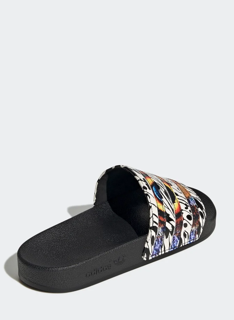 adidas Originals Adilette