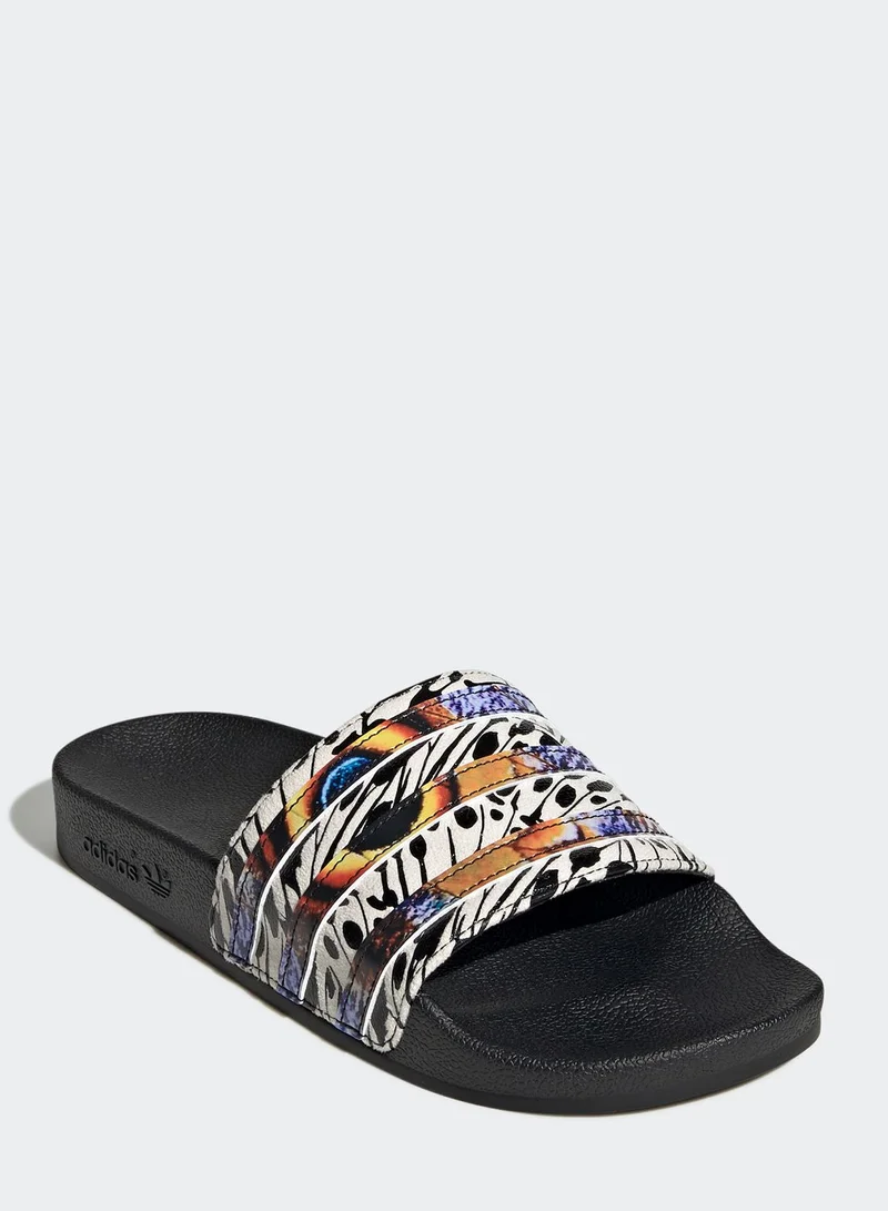 adidas Originals Adilette