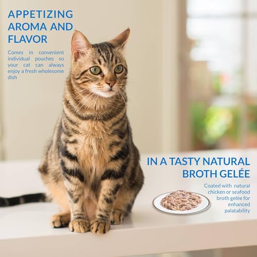INABA Twin Packs for Cats, Side Dish/Topper Cups, 1.4 Ounces per Serving, 12 Servings, Tuna & Chicken Recipe in Tuna Broth - Image 3