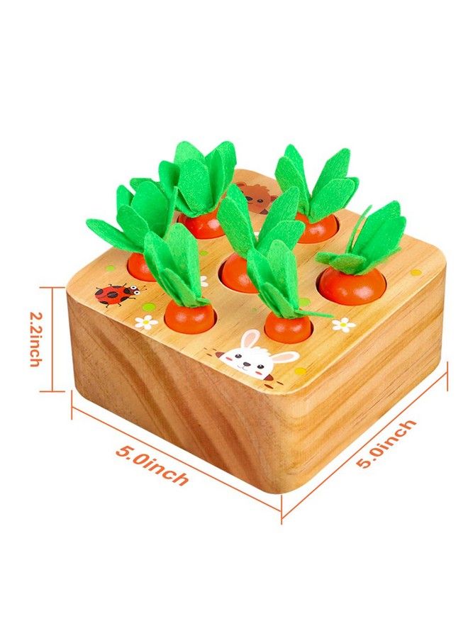 SKYFIELD Carrot Harvest Game Wooden Toy For Baby Boys And Girls 1 2 3 Year Old Educational Shape Sorting Matching Puzzle Gift Toy With 7 Sizes Carrots.Great Montessori Toy For Toddlers 13 - Image 3