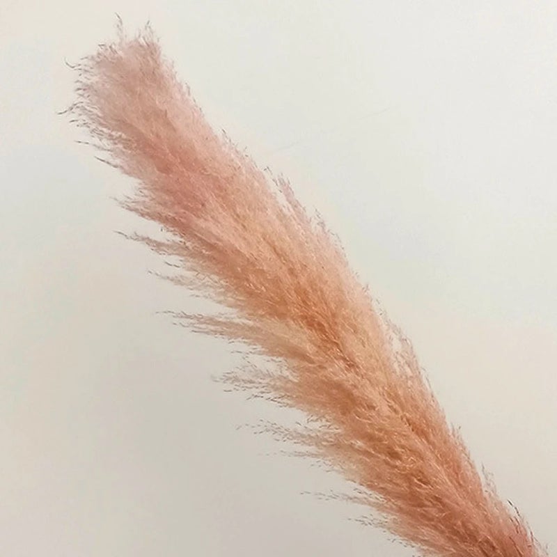 Bluejw 4-6 Inch Natural Pampas Grass Decor - Tall Dried Flowers Boho Home Bouquet for Wedding Arrangements, Vase Filler, Garden Decor - Image 1