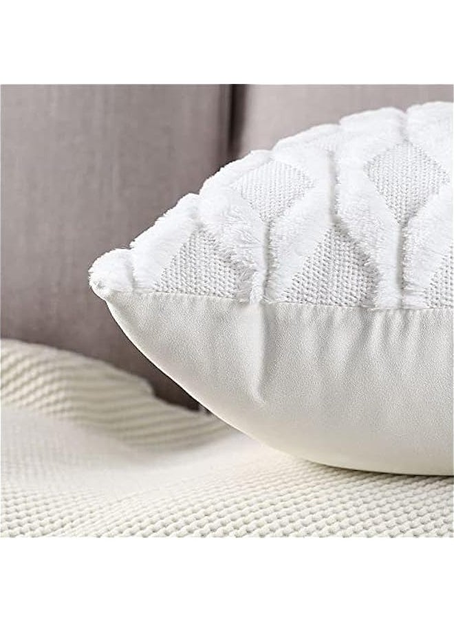 2 Pack Decorative Throw Pillow Covers, Soft Plush Faux Wool Couch Pillow Covers 15x15 inch