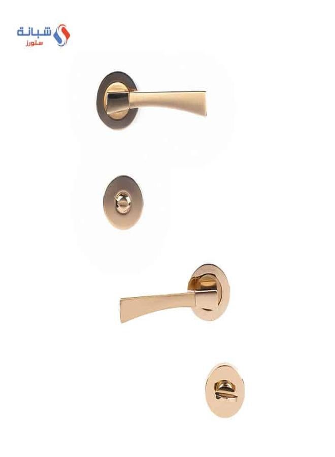 Doganlar Dognlar Sigma Turkish Rosette Door Handle Set – Golden Matte  - Image 1