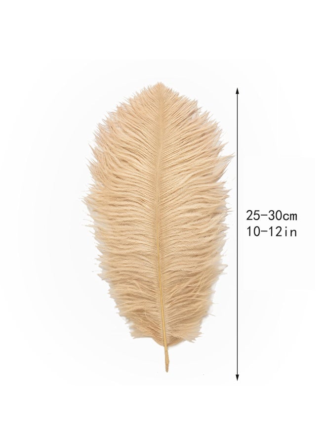 Ballinger Champagne Ostrich Feathers Bulk 24pcs 1012inch Boho Feathers for vase and Home Decor Wedding Party Centerpieces - Image 3