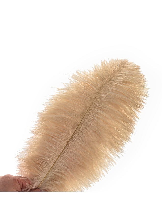 Ballinger Champagne Ostrich Feathers Bulk 24pcs 1012inch Boho Feathers for vase and Home Decor Wedding Party Centerpieces - Image 2