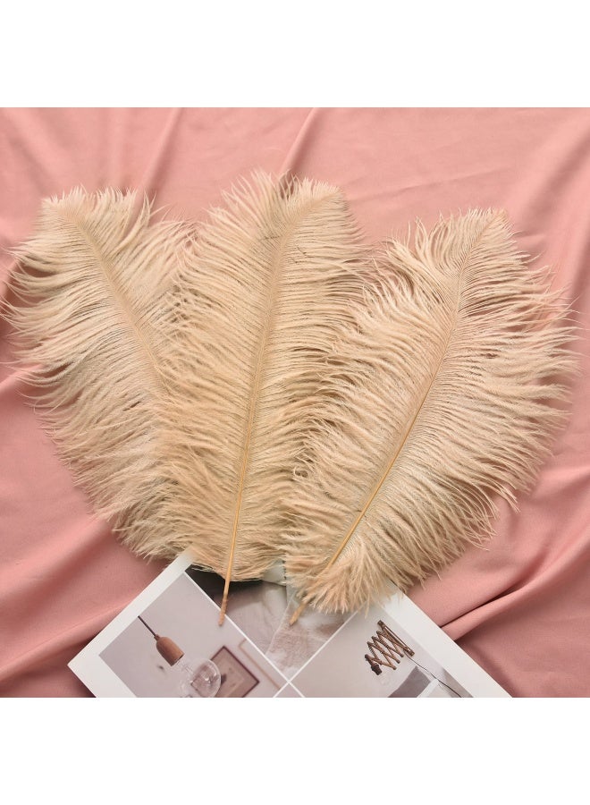 Ballinger Champagne Ostrich Feathers Bulk 24pcs 1012inch Boho Feathers for vase and Home Decor Wedding Party Centerpieces - Image 5