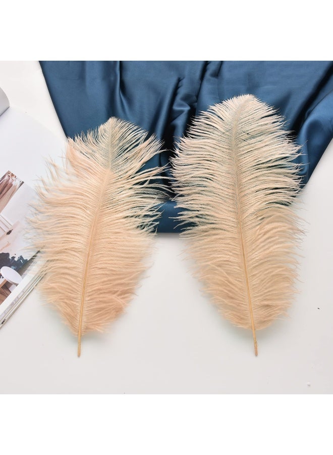 Ballinger Champagne Ostrich Feathers Bulk 24pcs 1012inch Boho Feathers for vase and Home Decor Wedding Party Centerpieces - Image 4