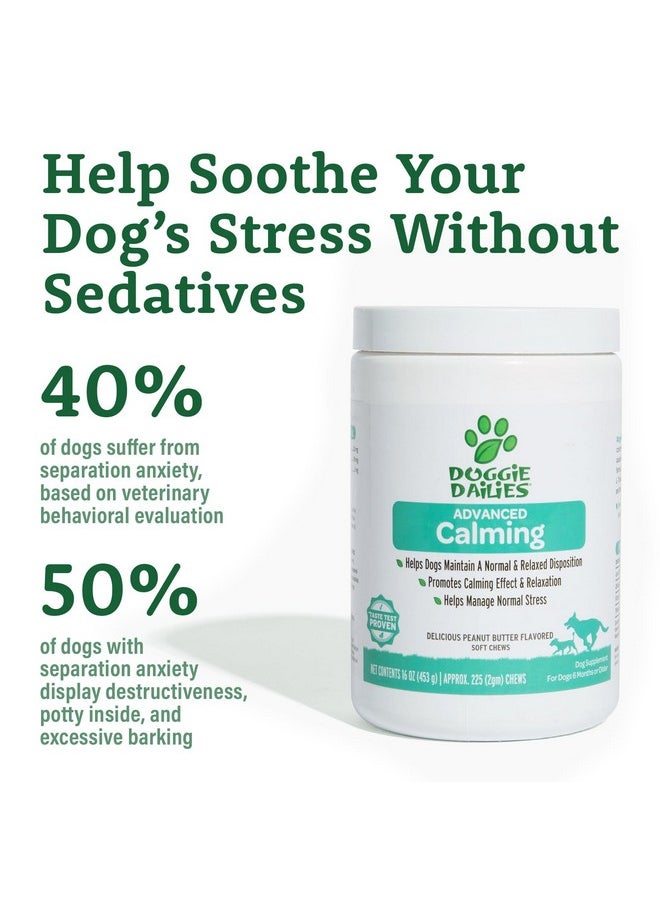 Doggie Dailies Calming Chews For Dogs, 225 Soft Chews, Melatonin For Dogs With Chamomile To Help Manage Stress Relief, Calm & Relaxation During Thunderstorms, Fireworks, Travel, & Separation  - Image 4