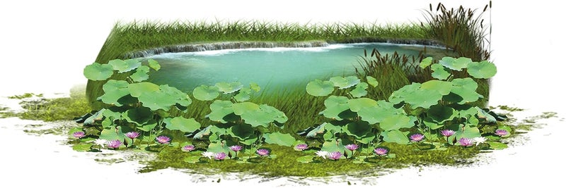 Jagvii Pond and Grass with Lotus Leafs Floor Sticker PVC Vinyl SelfAdhesive Just Peel and Stick 3D Quality Product Pack of 1 Multicolor Size 90 cm X 30 cm Brand Jagvii Floor Sticker