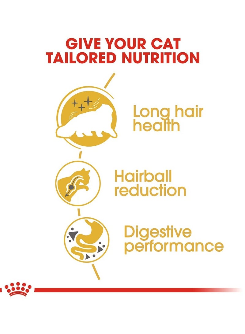 رويال كانين طعام القطط الفارسية من رويال كانين للقطط البالغة للشعر الطويل والصحة وتقليل كرات الشعر وتحسين الأداء الهضمي 400 جرام - Image 3