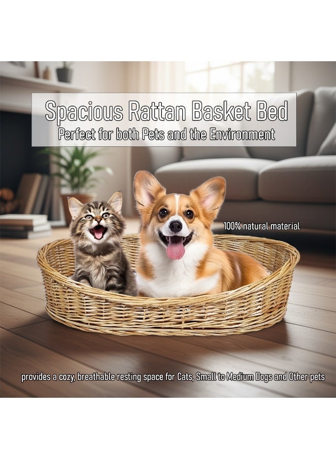 أن ان سي بيتس سرير للكلاب مع وسادة ناعمة وسجادة مزدوجة الجوانب لجميع المواسم، تصميم صديق للبيئة وخفيف الوزن، 82 سم سرير مريح وقوي من الخيزران الطبيعي، متين، قابل للتهوية، ومثالي للقطط والكلاب (بني) - Image 1