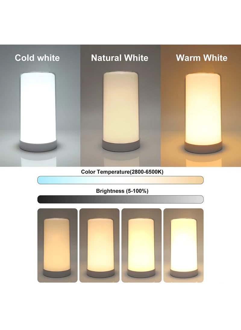 HMV MALL - HMV MALL Desk Lamps Relax Sleep Eye Stumble NonClouded Reading Adjustable Intensity NonClouded Night Table Light Coloring Rechargeable Dimmable Lamp with USB Charging Port - Image 1